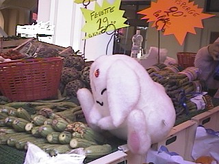 邾IȂIRi