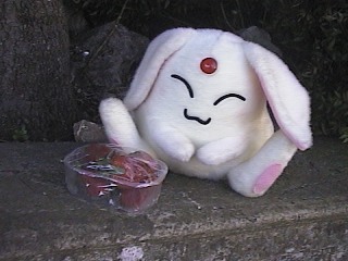 炵׃Riij