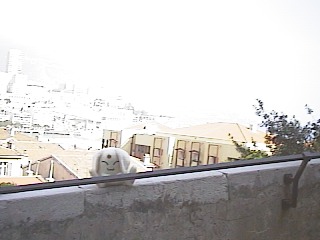 EOɂ낤