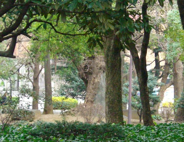 日比谷公園内の画像です 日比谷公園内の画像です