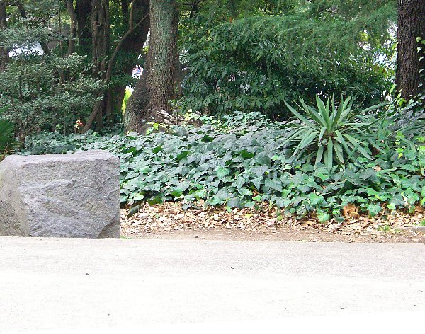 日比谷公園内の画像です 日比谷公園内の画像です