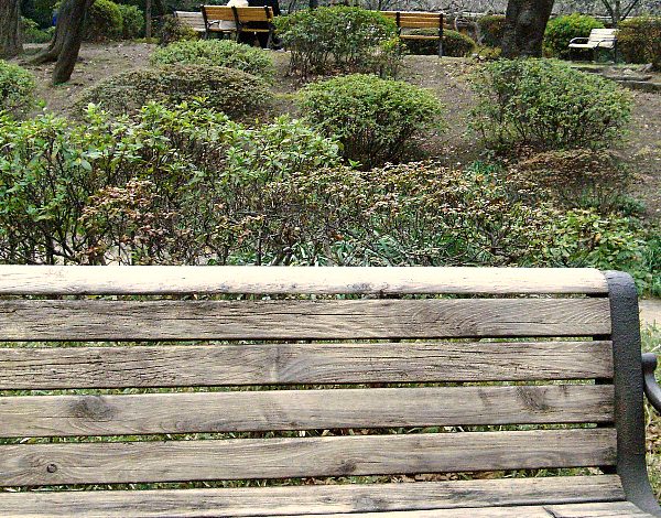 日比谷公園内ベンチの画像です 日比谷公園内ベンチの画像です