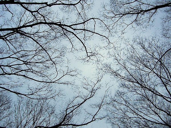 日比谷の空の画像です 日比谷の空の画像です