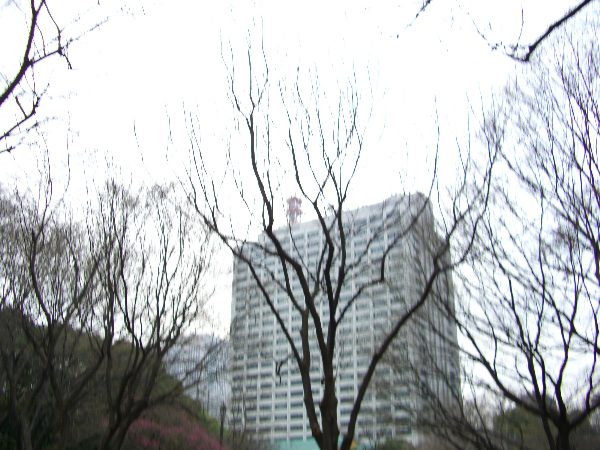 日比谷公園から遠景を望むわざとブレさせた画像 日比谷公園から遠景を望むわざとブレさせた画像