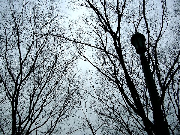 ����J���������������摜�ł�