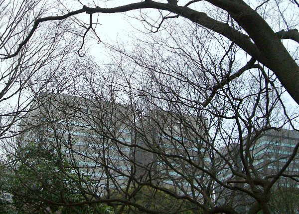 ����J�����x���`�����������摜