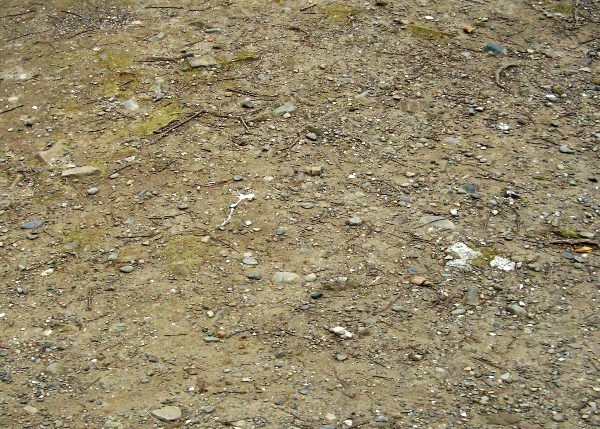 ����J�����̒n�ʂ̉摜