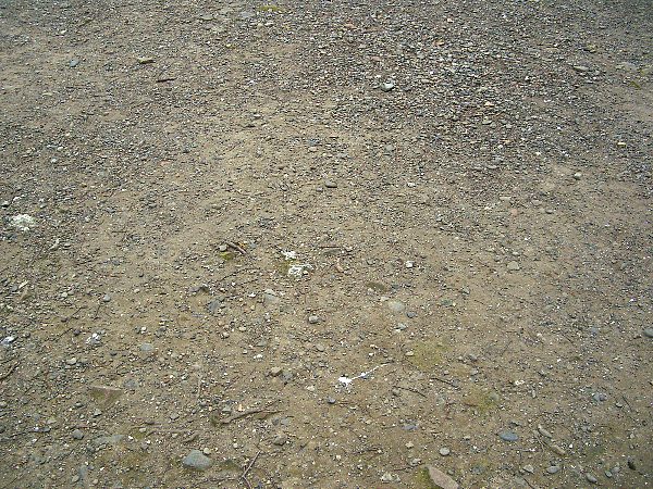 日比谷公園のベンチ前の画像です 日比谷公園のベンチ前の画像です