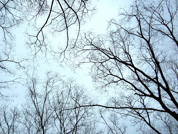 ����J�������猩����̉摜�ł�