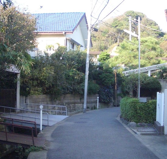 今小路踏切脇の小川付近の画像です 今小路踏切脇の小川付近の画像です