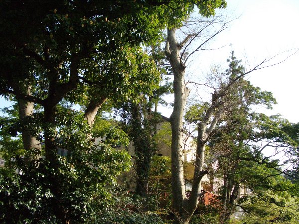 東勝寺橋上の画像です 東勝寺橋上の画像です