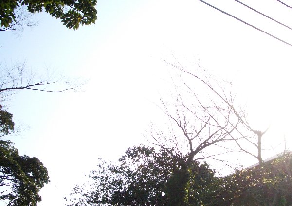 東勝寺橋から下手の空を見た画像です 東勝寺橋から下手の空を見た画像です