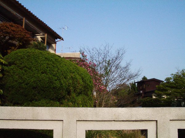 大御堂橋の上の画像です 大御堂橋の上の画像です