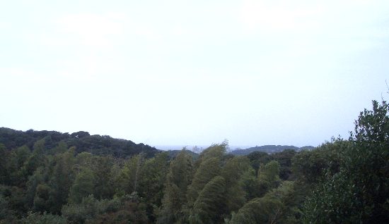 らい亭内の階段から望む相模湾の画像 らい亭内の階段から望む相模湾の画像