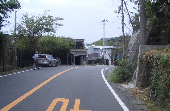 鎌倉山周辺桜並木の道の画像です 鎌倉山周辺桜並木の道の画像です