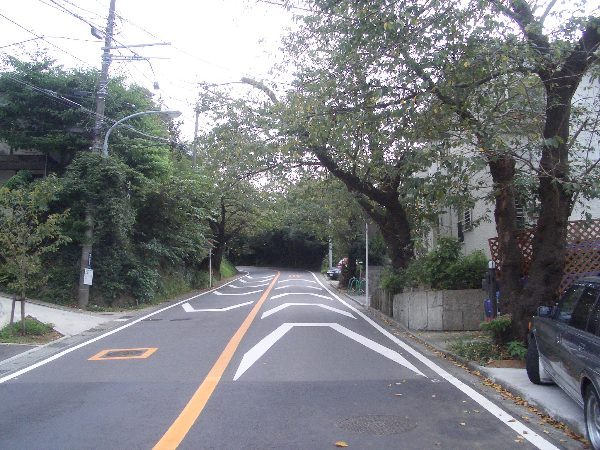 両側に桜並木が続く住吉バス停付近の画像 両側に桜並木が続く住吉バス停付近の画像