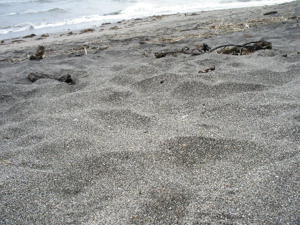 七里ヶ浜砂浜の画像です 七里ヶ浜砂浜の画像です