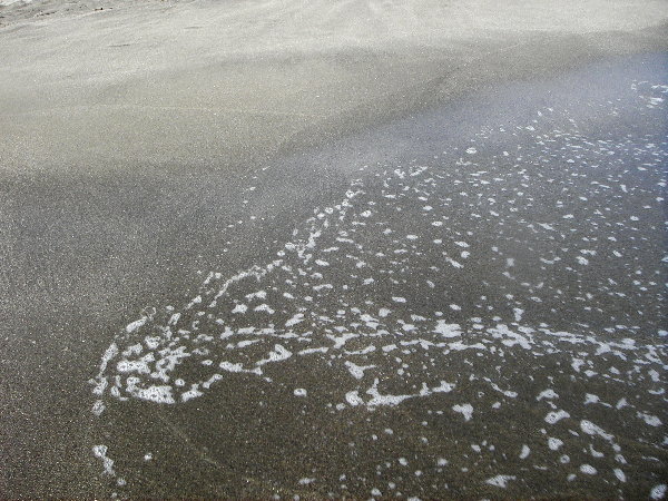 �������l�̍��l�̉摜�ł�