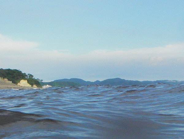 �������l�C�����琀�q�����������摜