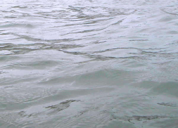 �������l�C���̉摜�ł�