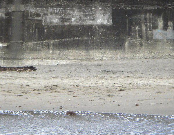 �������l�̊C�݂̉摜�ł�