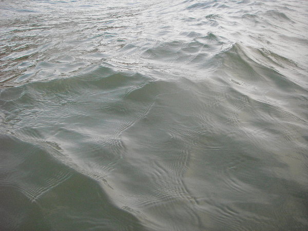 �������l�̊C�̉摜�ł�