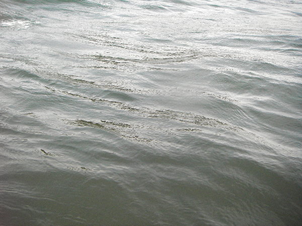 �������l�̊C�̉摜�ł�