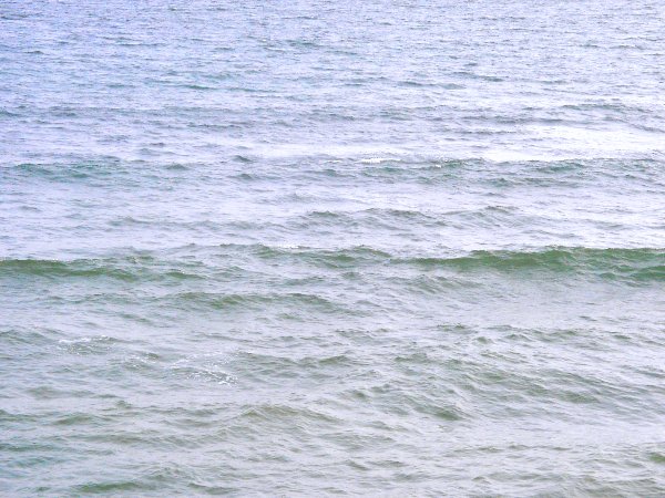 �������l�̊C�݂��琔���[�g���̂Ƃ���̉摜�ł�