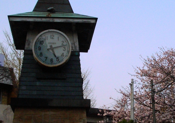 桜咲く時計台の画像です 桜咲く時計台の画像です