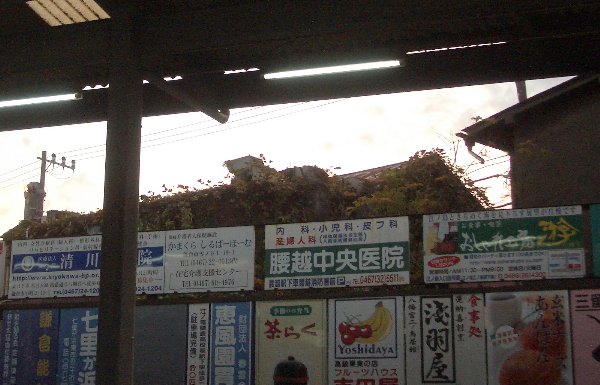 qwSԃz[̂Tԃz[摜