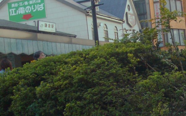 ベンチ後ろからロータリー方向を見た画像です ベンチ後ろからロータリー方向を見た画像です