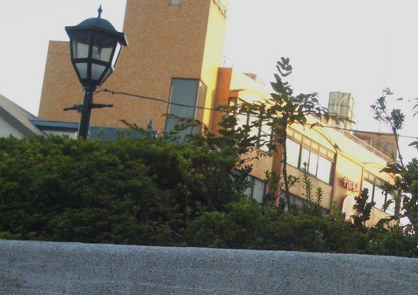 ベンチの後ろに見える街灯などの画像です ベンチの後ろに見える街灯などの画像です