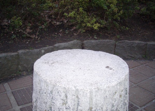 ベンチ向かって右後方の丸いすの画像です ベンチ向かって右後方の丸いすの画像です