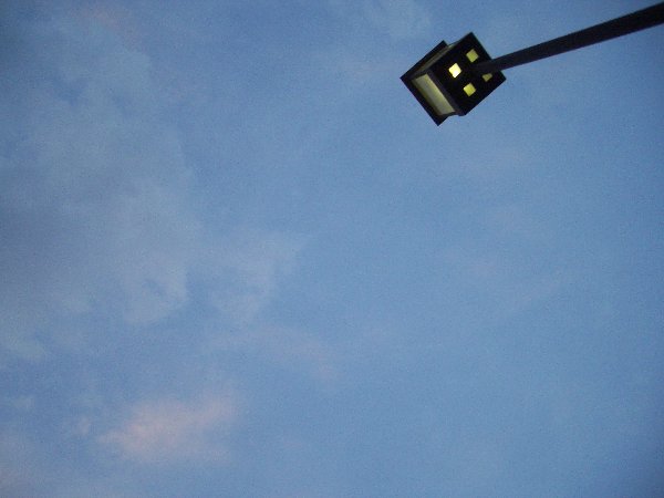 ベンチから上空を見た画像です ベンチから上空を見た画像です
