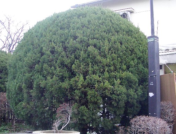 ベンチ右前の画像です ベンチ右前の画像です