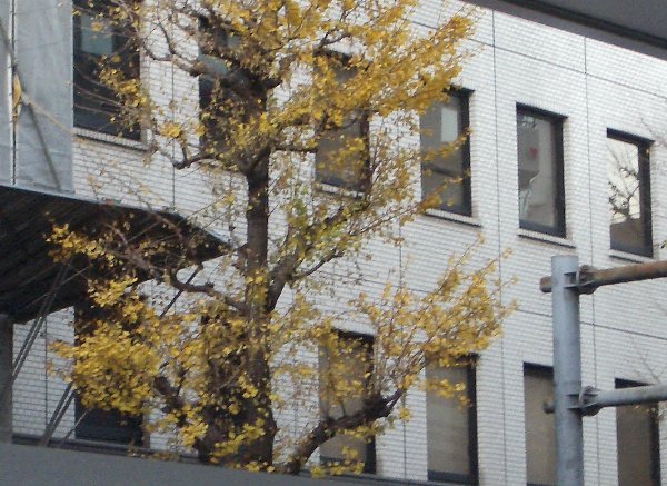 本町4丁目の前の風景画像です 本町4丁目の前の風景画像です