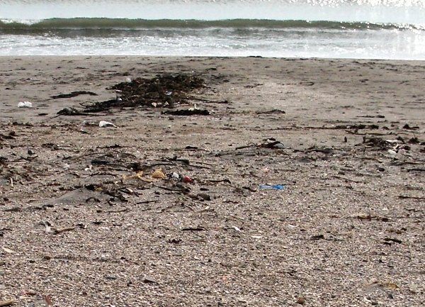 由比ヶ浜海水浴場の画像です 由比ヶ浜海水浴場の画像です