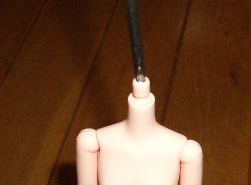 f̂̃p[cĂ摜ł
