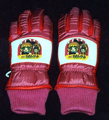 ��ܖh���T�{�w�Ɨ��^�C�v�̉摜