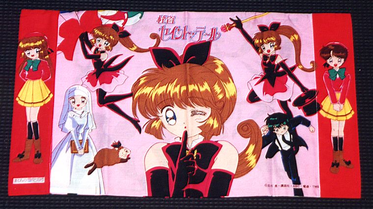 ���̉摜�ł�