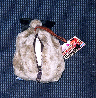 ���r�B�ʂ�����݃|�[�`�̔w�ʑ��̉摜�ł�