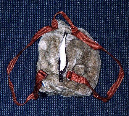 ���r�B�ʂ�����݃����b�N�T�b�N�w�ʂ̉摜�ł�