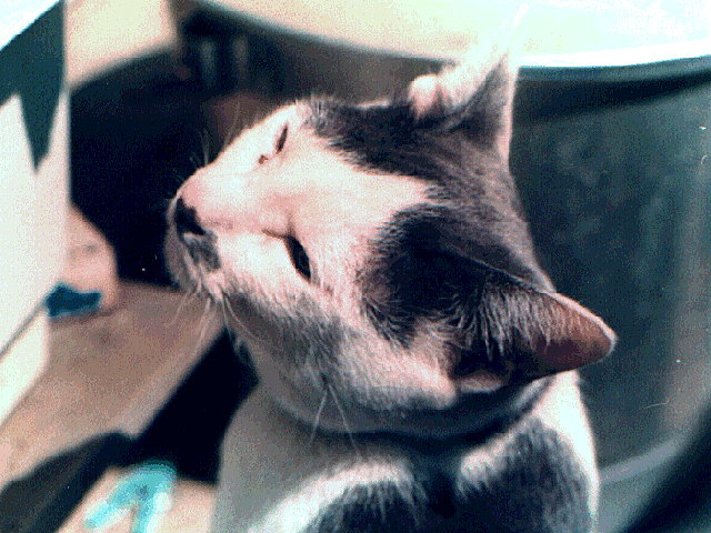 ̂̎L{r[̉摜ł