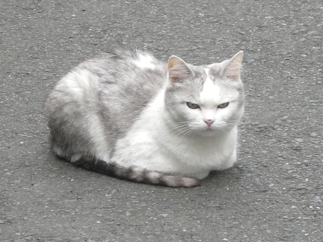 ݏZ̃O[L̉摜ł