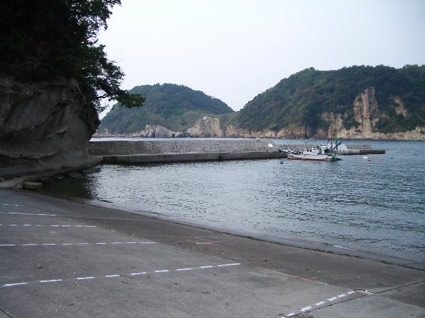 n`hg̉摜