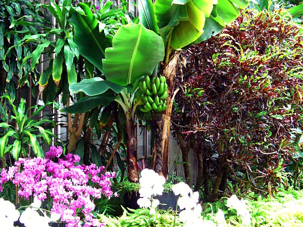 ���̗��������̓����̉摜�ł�