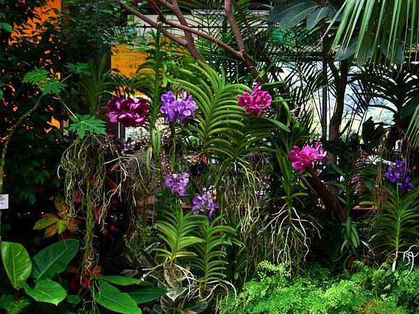 �o���_�Ȃǂ̉摜�ł�