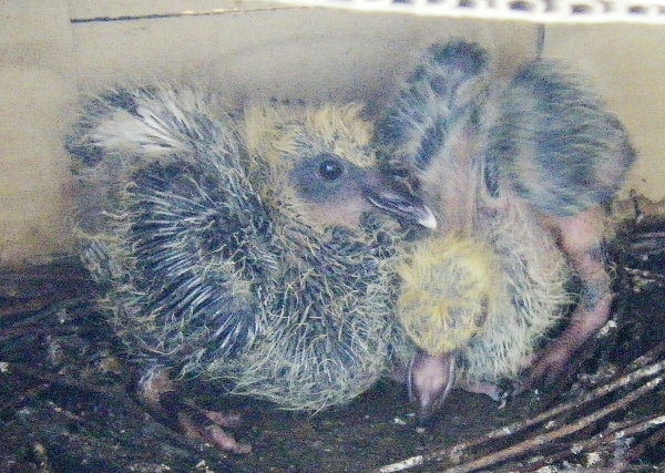 kqỉ摜ł
