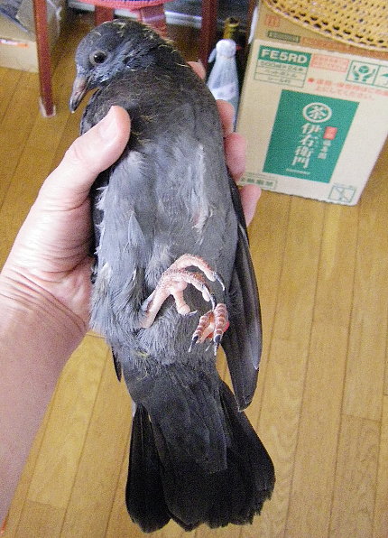 쑤qiɑւt摜ł