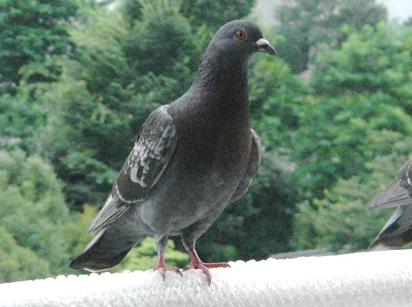 쑤̉摜ł